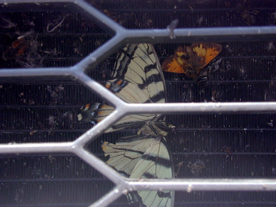 dscn4678_jpg.png