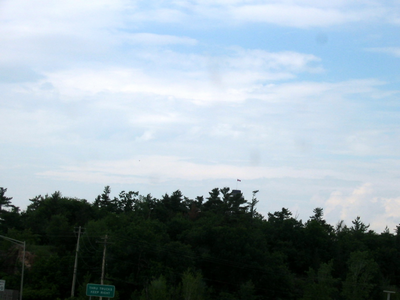 img_0648_jpg.png