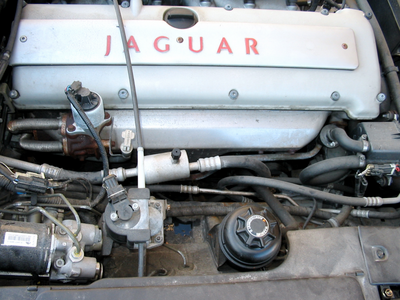 img_1967_jpg.png