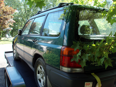 p8100120_jpg.png