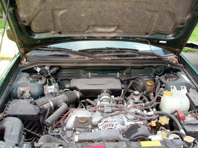p8130131_jpg.png