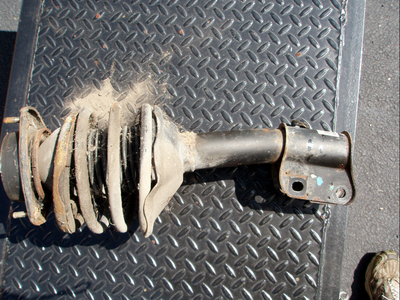 p9070002_jpg_png.png