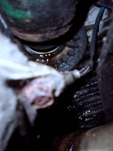 pa230021_jpg.png