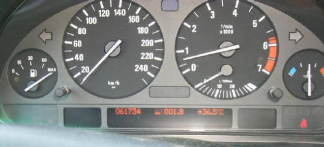 canadiane39speedo_jpg.png